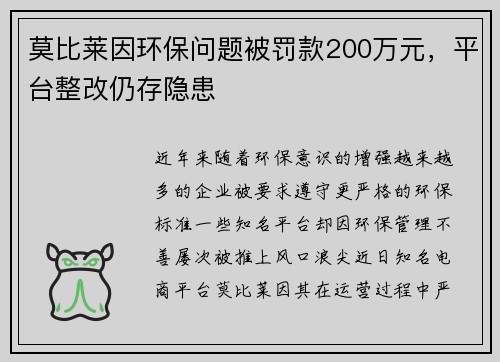 莫比莱因环保问题被罚款200万元，平台整改仍存隐患